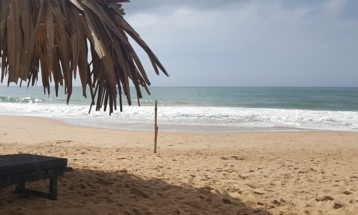 sunny beach view